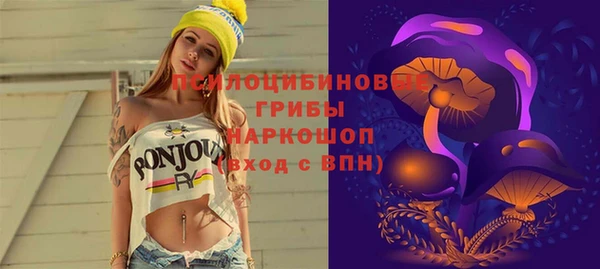 ГАЛЛЮЦИНОГЕННЫЕ ГРИБЫ Абинск