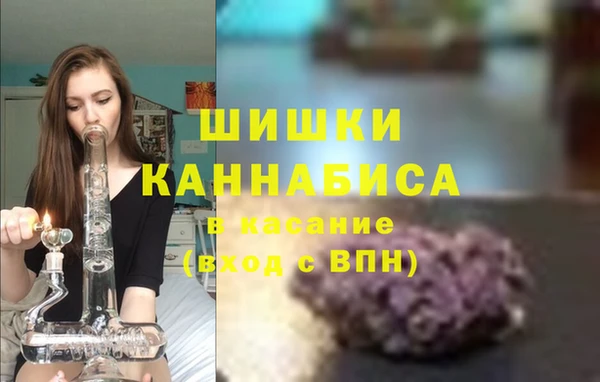 ГАЛЛЮЦИНОГЕННЫЕ ГРИБЫ Абаза