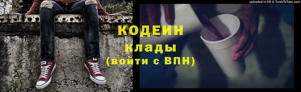 ГАЛЛЮЦИНОГЕННЫЕ ГРИБЫ Абаза