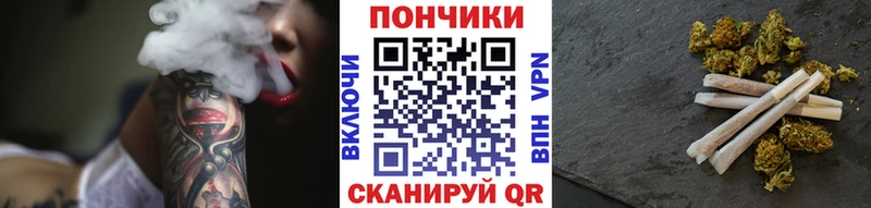 Бошки марихуана SATIVA & INDICA  мега как войти  darknet официальный сайт  Касли 